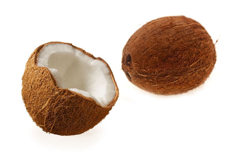 Titibit Coconut (1 pc)