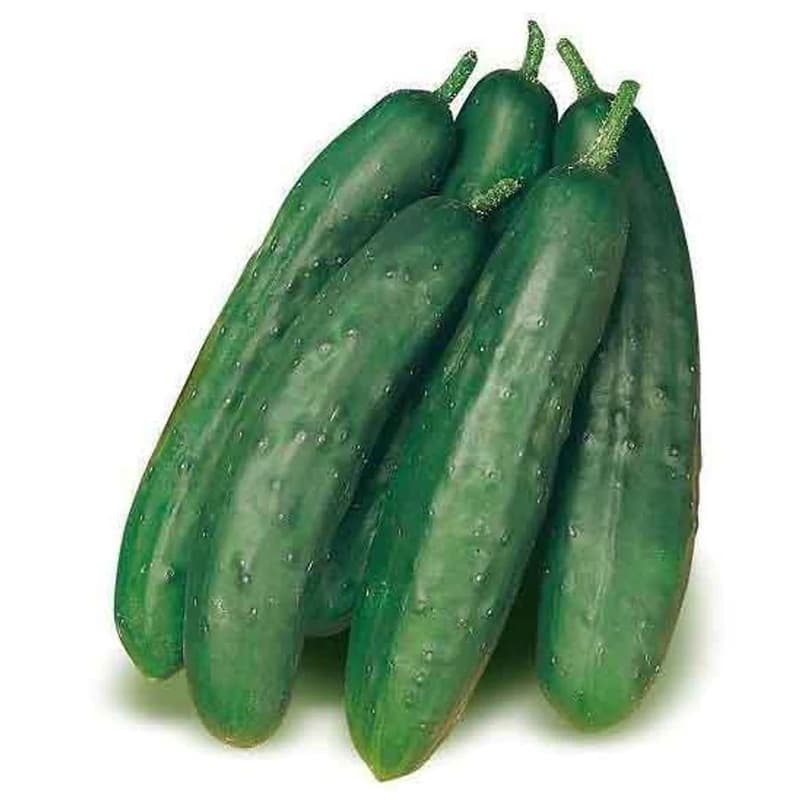 Organic Snack cucumber, loose