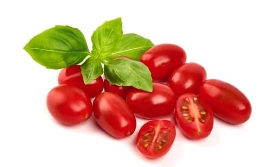 BIO Datterino paradicsom, csomagolt