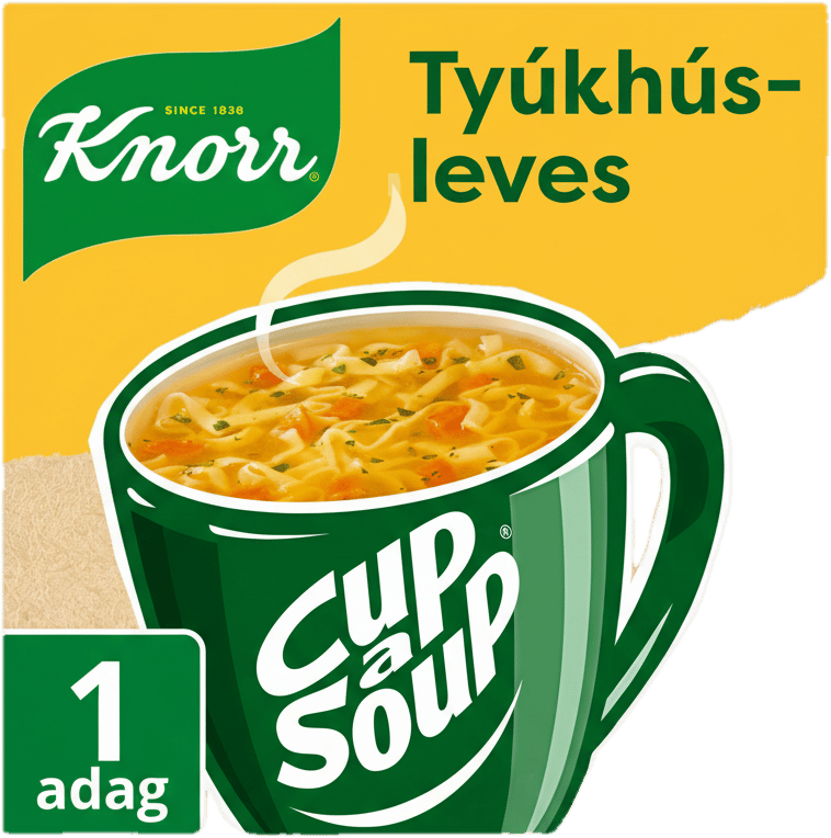 Knorr Cup a Soup Instant Chicken Soup with Noodles 12 g