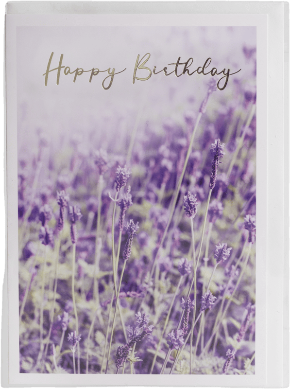 Kubo Képeslap Happy Birthday levendula 13x19 cm