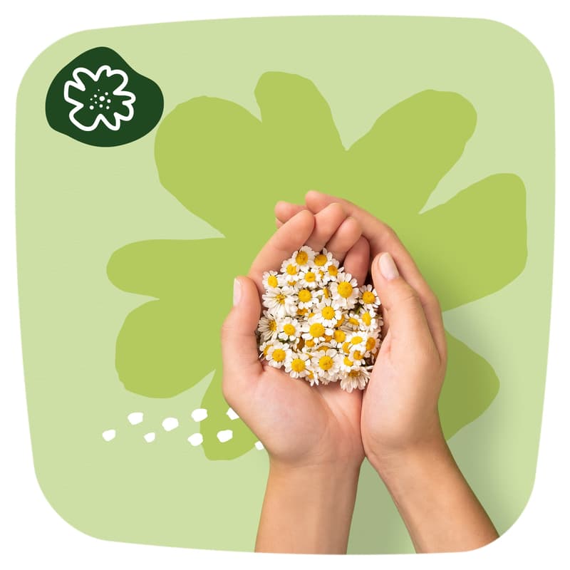 Naturella Ultra Normal Egészségügyi Betét, 1-es méret