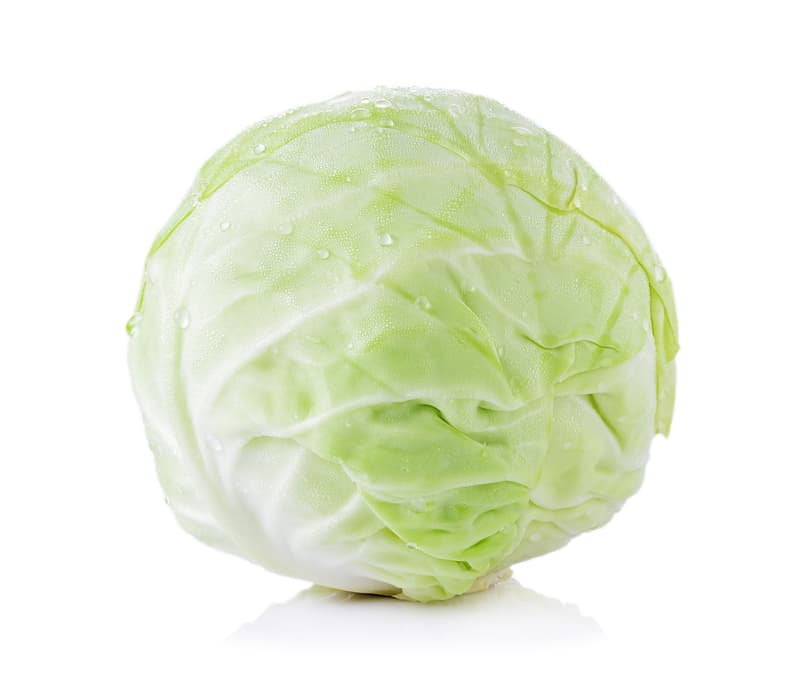 Cabbage