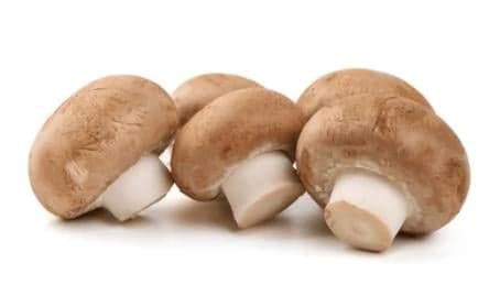 BIO Barna Csiperkegomba