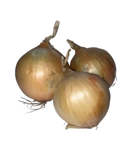 Vöröshagyma lédig