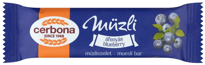 Cerbona Blueberry slice with yoghurt coating
