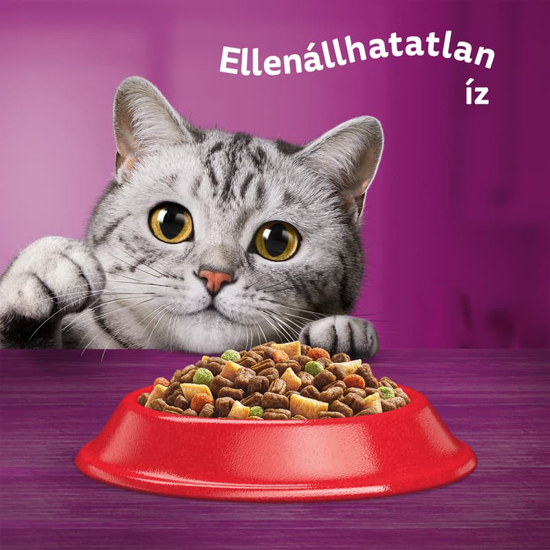 Whiskas száraz állateledel macskák számára marhahússal