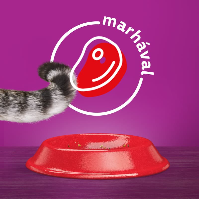 Whiskas száraz állateledel macskák számára marhahússal