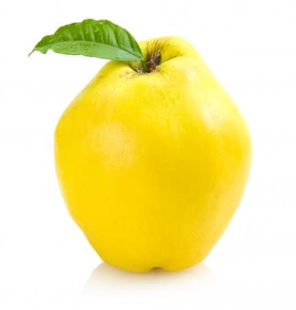 Hazai birsalma, lédig