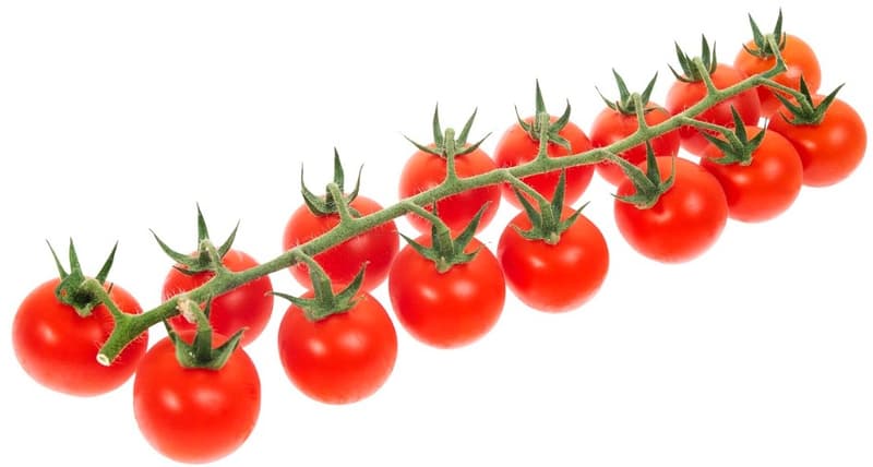 Magyar fürtös cherry paradicsom