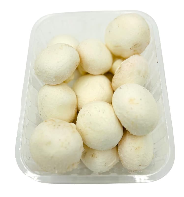 Gourmet Fehér csiperkegomba