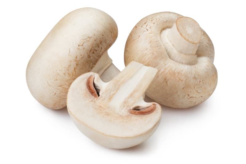Gourmet Fehér csiperkegomba