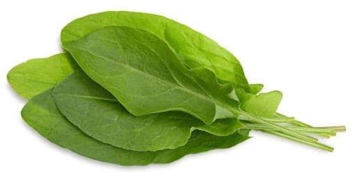 Sorrel packed