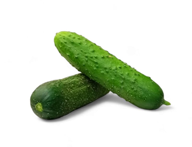 Fresh, crunchy pickles to leaven