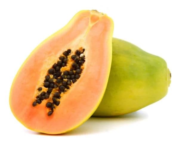 Titbit Gold Papaya (1 db)
