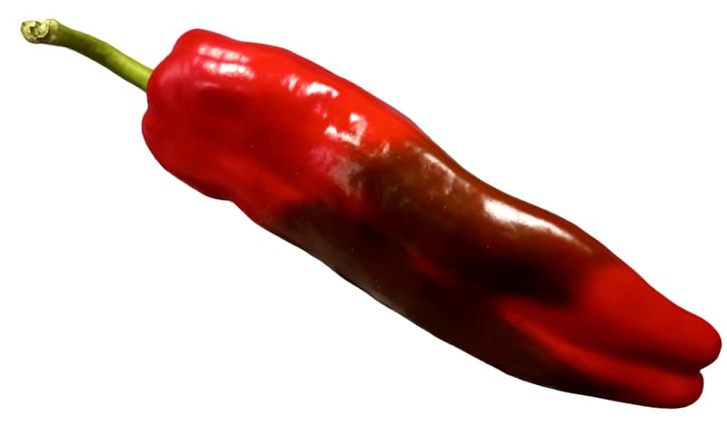 Ramiro Pepper