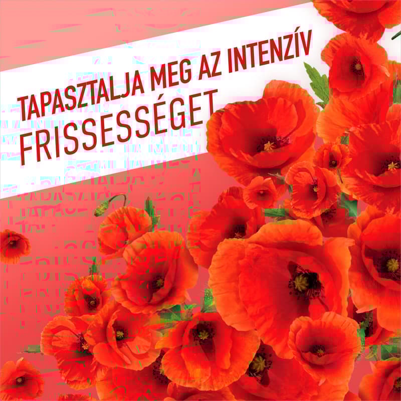 AJAX Floral Fiesta Red Flowers Általános tisztítószer