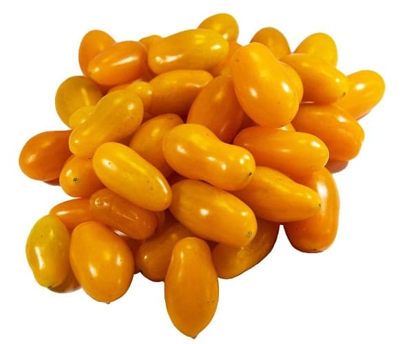 Date tomatoes yellow