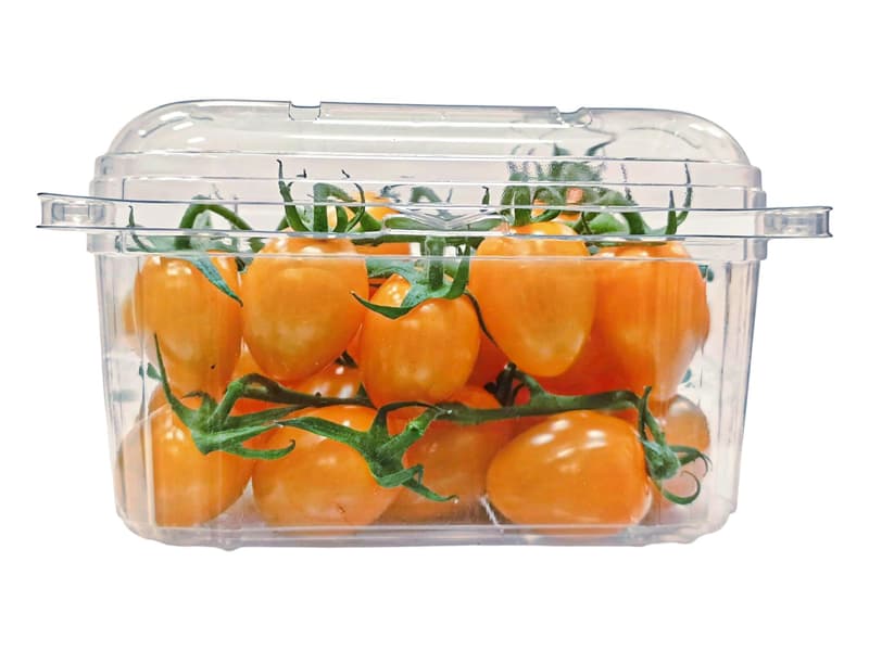 Date tomatoes yellow