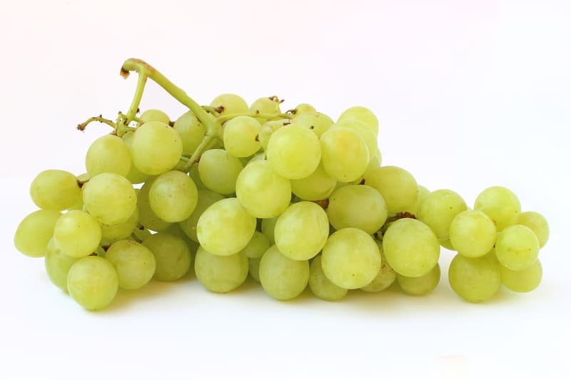 Seedless white grapes