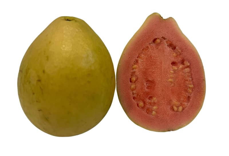 Guava, rózsaszín