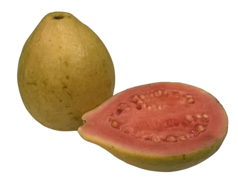 Guava, rózsaszín