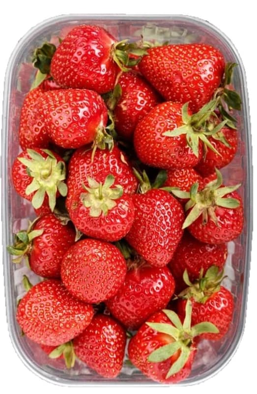 Strawberry, packed