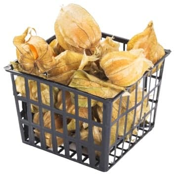 Prémium, Friss Physalis