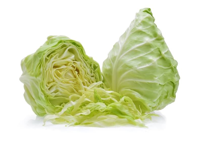 Pointed cabbage