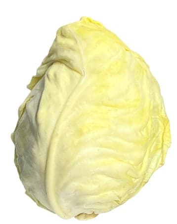 Pointed cabbage