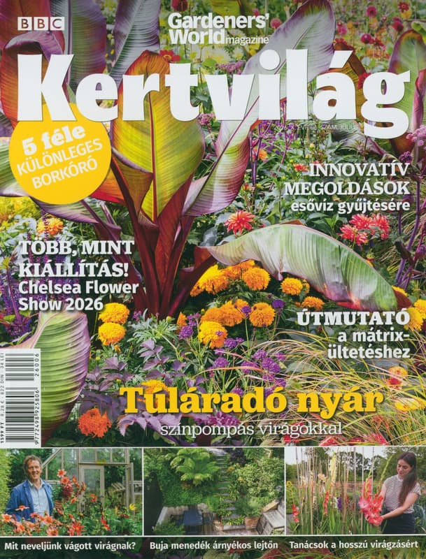 BBC Kertvilág