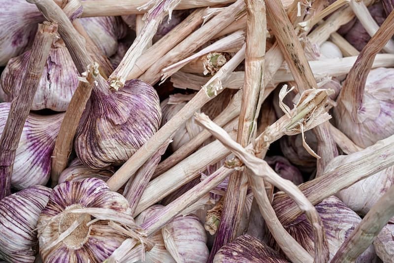 Fokhagyma, csomagolt