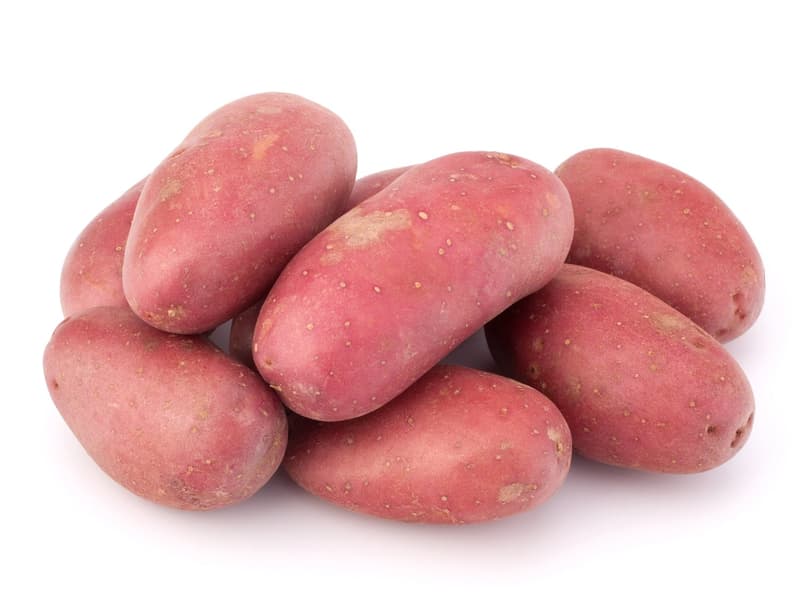 Hungarian new crop red skin potato, packed