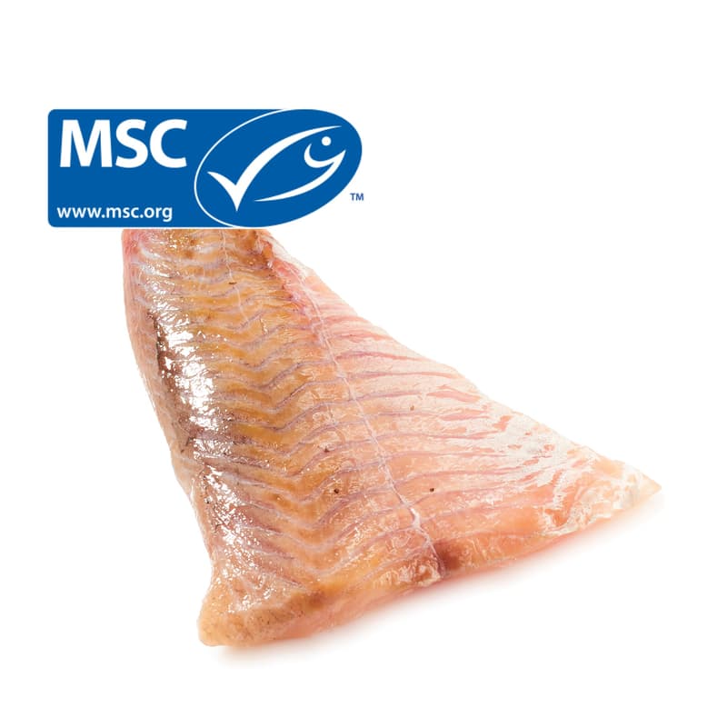 MSC Saithe fillet