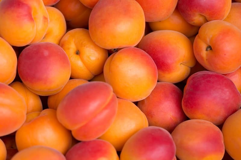 Hungarian Apricot, packed