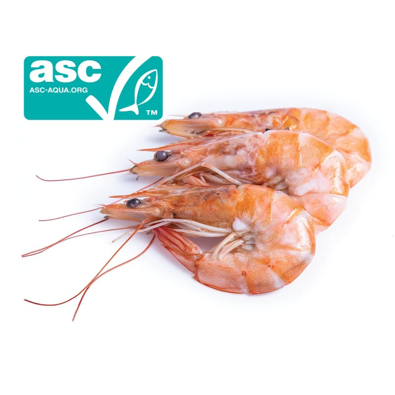 FJORU ASC Előhűtött garnélarák egész 31/40