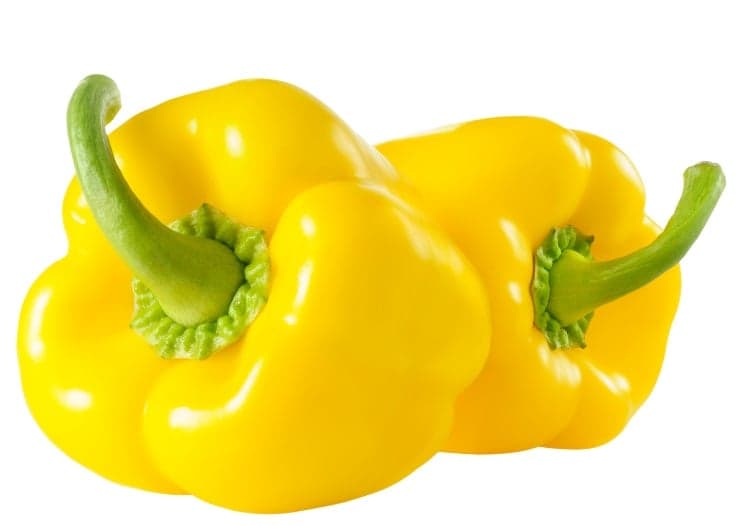Orange bell pepper