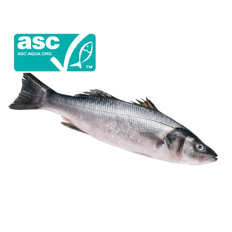 FJORU ASC Wolf perch whole (branzino)