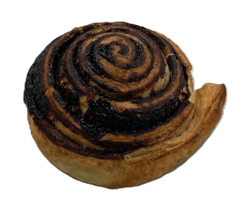 Cocoa Snail