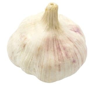 Fokhagyma, lédig
