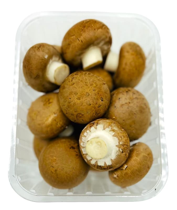 Chef Mushroom Brown Champignon