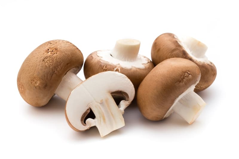 Chef Mushroom Brown Champignon