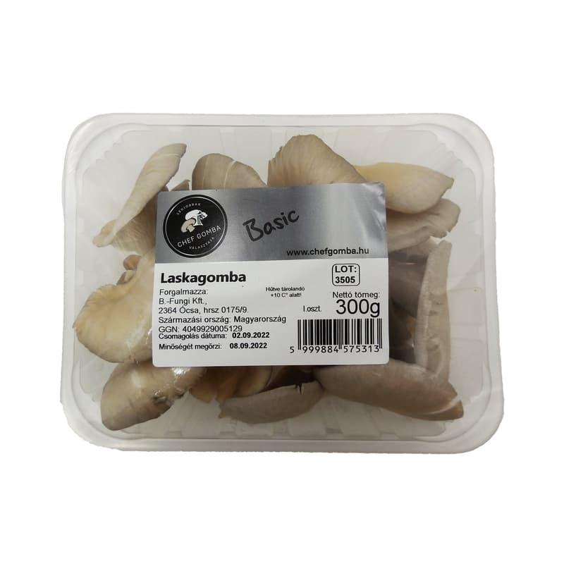 Chef Mushroom Bouquet of Oyster Mushrooms