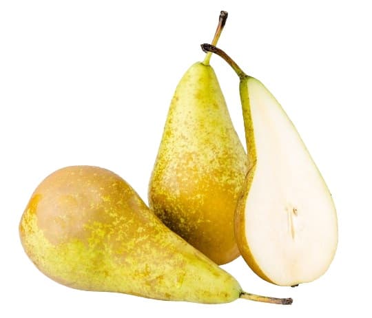 Conferance pear