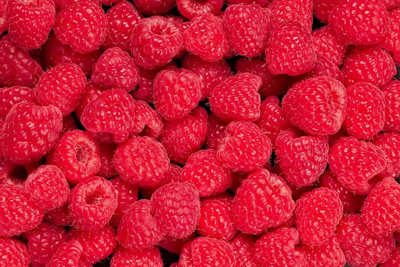 Eat Me Raspberries, packaged