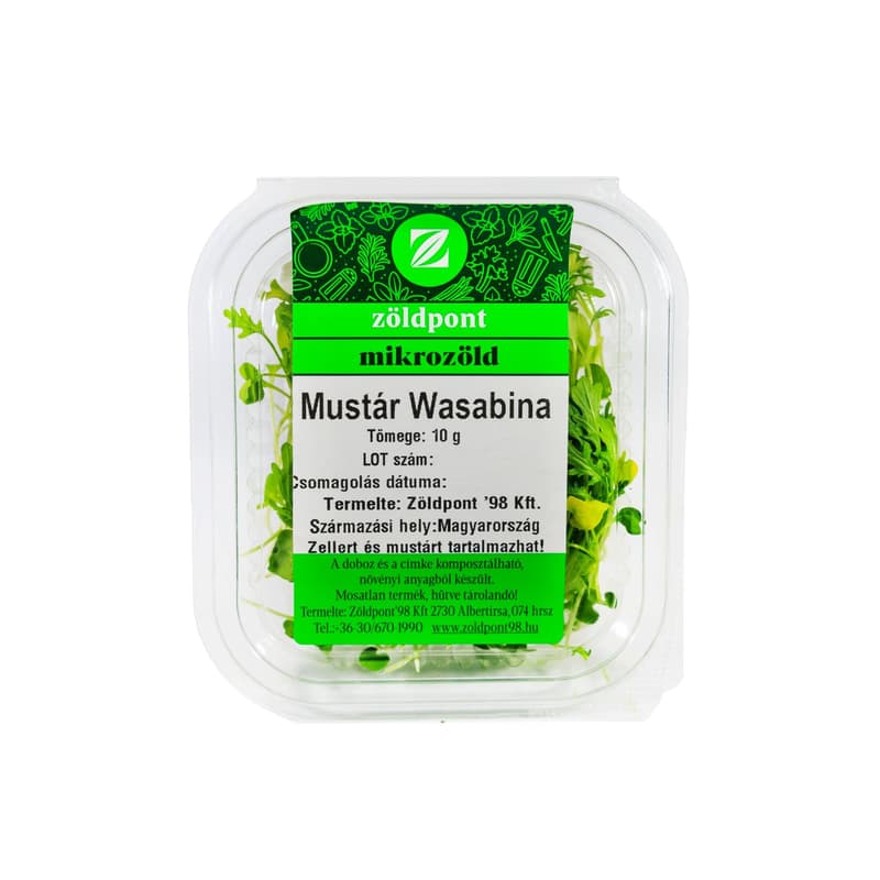 Mustard 'Wasabina', microgreen