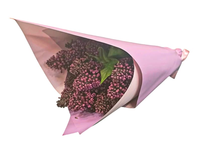 Lilac bouquet