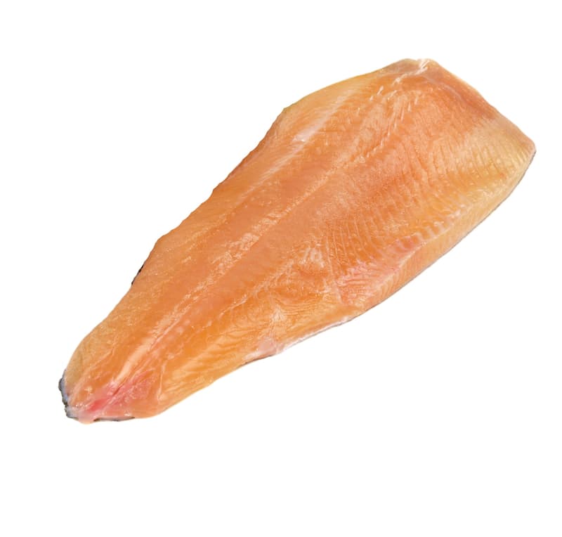 Trout fillet