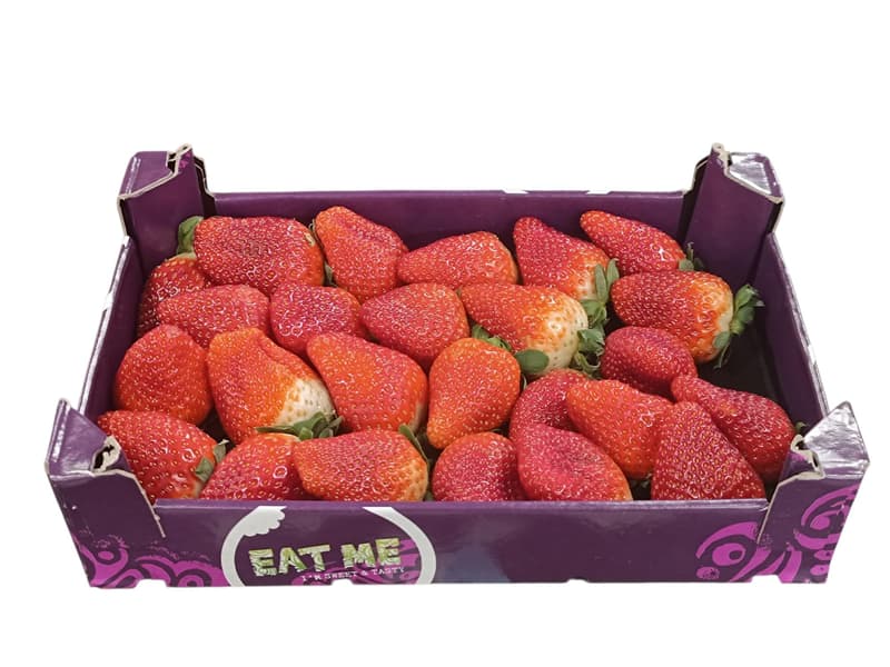 Eat Me Strawberry