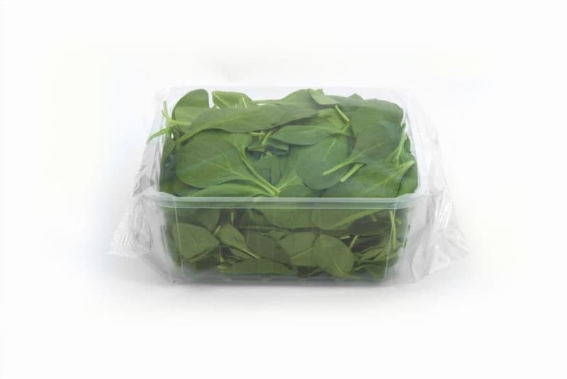 Babyleaf Baby Spinach